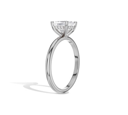 hidden accents engagement rings​