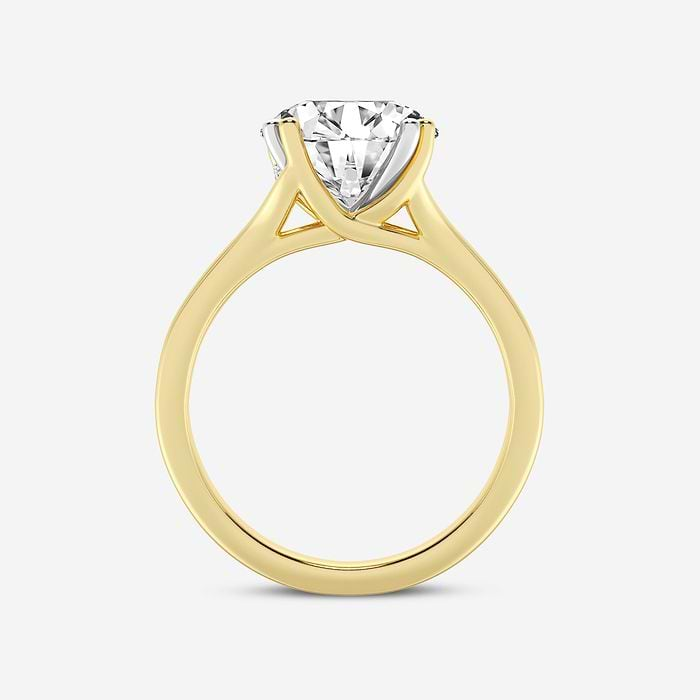 Round Lab Grown Diamond Two Tone Double Prong Hidden Halo Engagement Ring